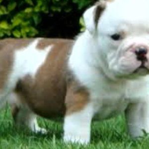 Meet your Posher, Drew